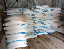 Policy Brief; Aplikasi I-PUBERS: Penyaluran Pupuk Bersubsidi Lancar di Kalimantan Utara, Petani Maju Sukses