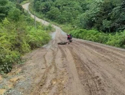 DPUPR – Perkim Kembali Anggarkan Pembangunan Jalan Peso – Kaltara Tahun Ini