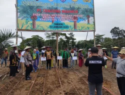 PT. Sanjung Makmur Lakukan Penanaman Perdana Jagung di Kecamatan Betayau