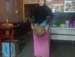 Harga LPG di Kabupaten Bulungan Selangit, Ibu-Ibu Menjerit