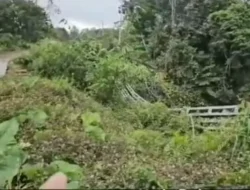 Apau Kayan