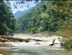 Peringatan Bagi Pengguna Long Boat yang Akan ke Tanjung Selor
