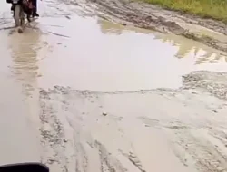 Pemkab Bulungan Lanjutkan Proyek Pengaspalan Jalan Tanjung Palas-Salim Batu