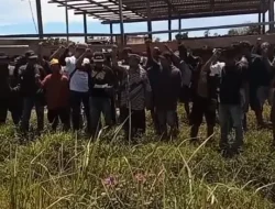 Warga Desa Mangkupadi di Duga Kuat di Intimidasi dari PT KIPI, Rumahnya Hampir Dibongkar Paksa