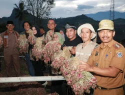 Pemprov Kaltara Dan Pemkab Enrekang, Siap Jalin Kerja Sama Jaga Stabilitas Pangan Nasional