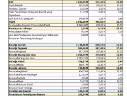 Kondisi Keuangan Daerah Kaltara Semester I 2025: Jauh Dari Target Yang Ditetapkan