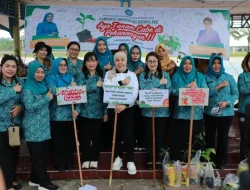 Galakkan Konsumsi Pangan Lokal, PKK Bagikan Bibit Cabai