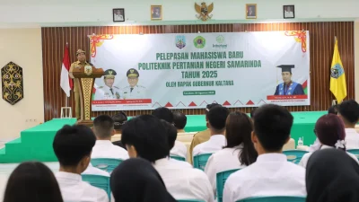 Mahasiswa