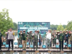 Mangrove Jadi Penyangga Kehidupan, Gubernur Kaltara dan Menhut Turun Langsung