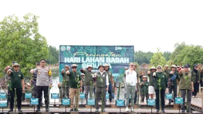 Mangrove