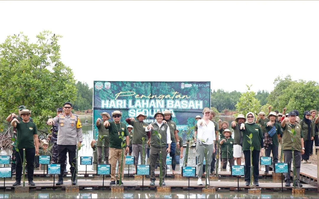 Mangrove