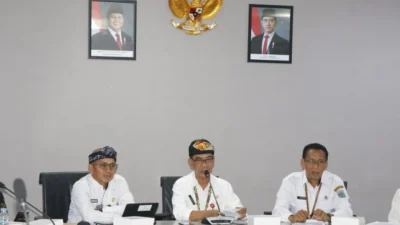 Sosialisasi