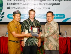 Kaltara Perkuat Perlindungan Mangrove Lewat Program Kehutanan Berkelanjutan