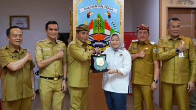 Karbon Biru